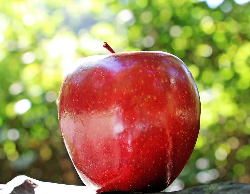 Healthy Snacking